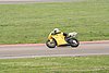 IMG_1233.JPG