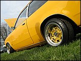 IMG_4517.jpg