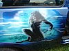 DSC00817.JPG
