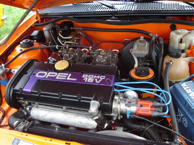 DSC07555.JPG