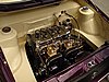 DSC06447.JPG