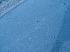 DSC01791.JPG