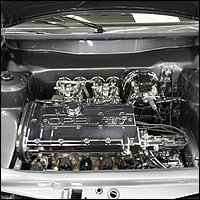 IMG_3673.JPG