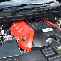 IMG_3328.JPG