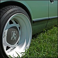 IMG_3345.JPG