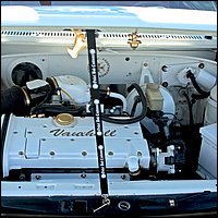 IMG_3354.JPG