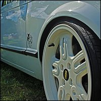 IMG_3356.JPG