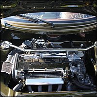 IMG_3370.JPG