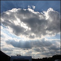IMG_3379.JPG