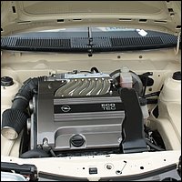 IMG_3410.JPG