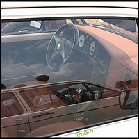 IMG_3037.JPG