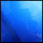 IMG_5438.JPG
