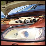 IMG_5447.JPG